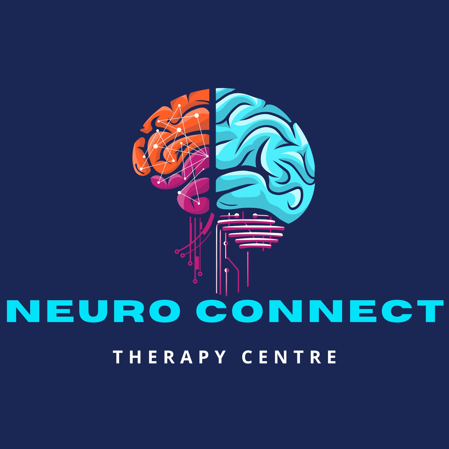 NeuroConnect Logo